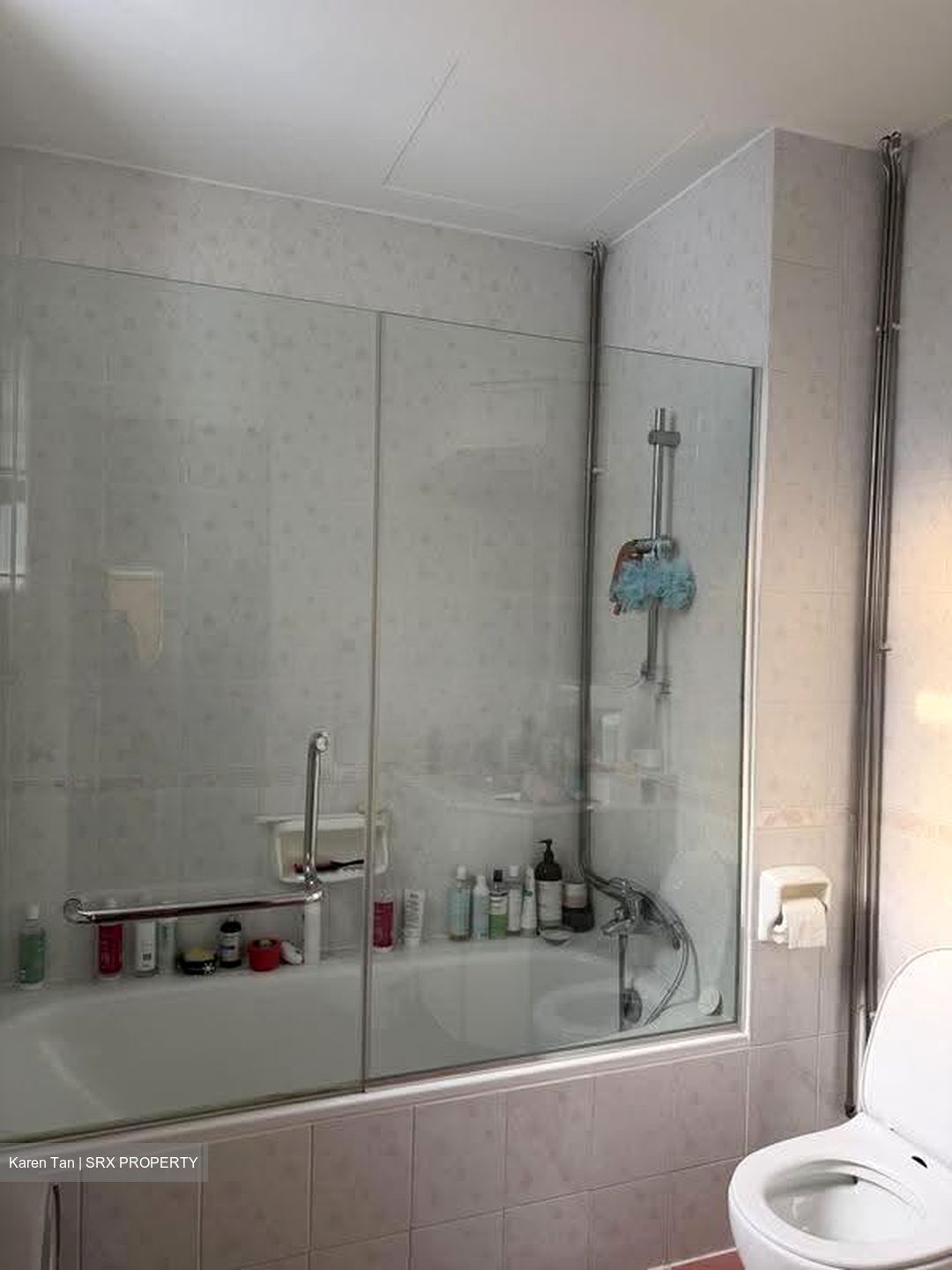 Astrid Meadows (D10), Condominium #629767361